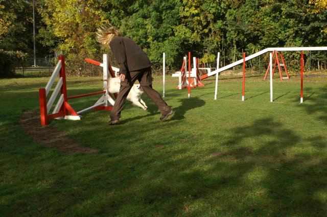 agility 2011-10-30